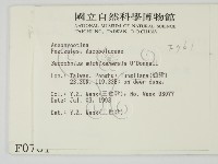 登錄號:F0000761藏品圖，第2張