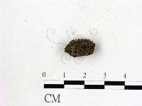 登錄號:F0000762藏品圖，第1張