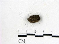 登錄號:F0000762藏品圖，第3張