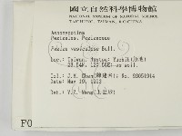 登錄號:F0000768藏品圖，第2張