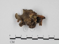 登錄號:F0000768藏品圖，第1張