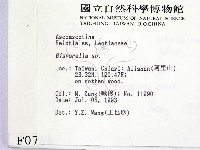 登錄號:F0000769藏品圖，第2張