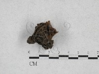 登錄號:F0000774藏品圖，第1張