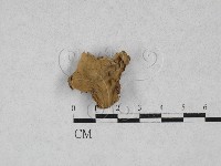 登錄號:F0000774藏品圖，第3張