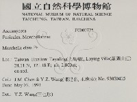 登錄號:F0000775藏品圖，第2張