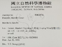 登錄號:F0000776藏品圖，第2張