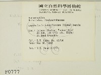 登錄號:F0000777藏品圖，第2張