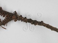 登錄號:F0000777藏品圖，第3張