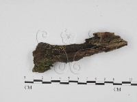 登錄號:F0000778藏品圖，第1張