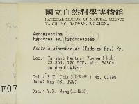 登錄號:F0000779藏品圖，第2張