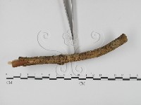 登錄號:F0000779藏品圖，第3張