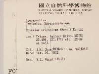 登錄號:F0000781藏品圖，第2張