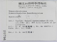 刺革菌屬藏品圖，第2張