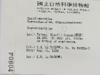 刺革菌屬藏品圖，第2張
