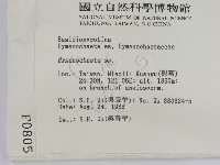 刺革菌屬藏品圖，第2張