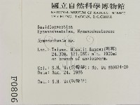 刺革菌屬藏品圖，第2張