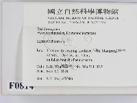 刺革菌屬藏品圖，第2張
