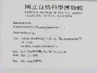 刺革菌屬藏品圖，第2張