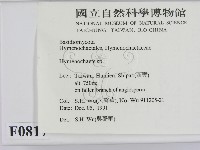 刺革菌屬藏品圖，第2張
