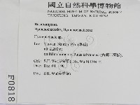 刺革菌屬藏品圖，第2張