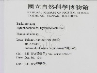 刺革菌屬藏品圖，第2張
