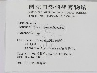 刺革菌屬藏品圖，第2張