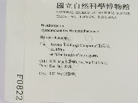 刺革菌屬藏品圖，第2張