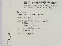 刺革菌屬藏品圖，第2張