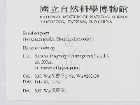 刺革菌屬藏品圖，第2張