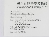刺革菌屬藏品圖，第2張