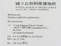 刺革菌屬藏品圖，第2張