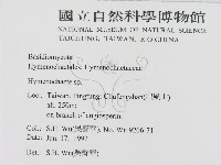 刺革菌屬藏品圖，第2張