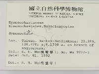 刺革菌屬藏品圖，第2張