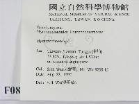 刺革菌屬藏品圖，第2張
