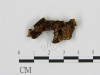 登錄號:F0000833藏品圖，第3張