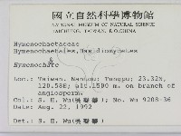 刺革菌屬藏品圖，第2張