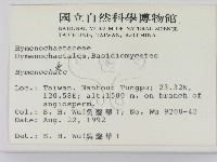 刺革菌屬藏品圖，第2張