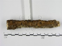 登錄號:F0000837藏品圖，第1張