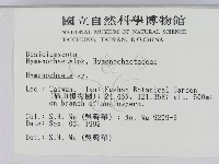 刺革菌屬藏品圖，第2張