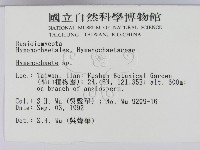 刺革菌屬藏品圖，第2張