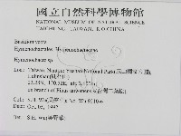 刺革菌屬藏品圖，第2張