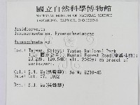 刺革菌屬藏品圖，第2張