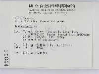 刺革菌屬藏品圖，第2張