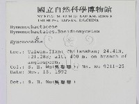 刺革菌屬藏品圖，第2張