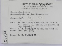 刺革菌屬藏品圖，第2張