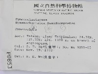 刺革菌屬藏品圖，第2張