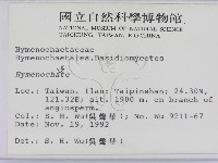刺革菌屬藏品圖，第2張