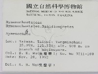 刺革菌屬藏品圖，第2張