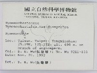 刺革菌屬藏品圖，第2張