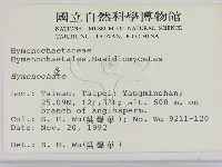 刺革菌屬藏品圖，第2張